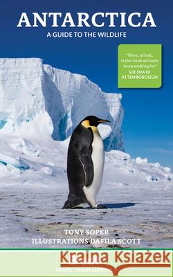 Antarctica: A guide to the wildlife Tony Soper 9781804692677 Bradt Travel Guides