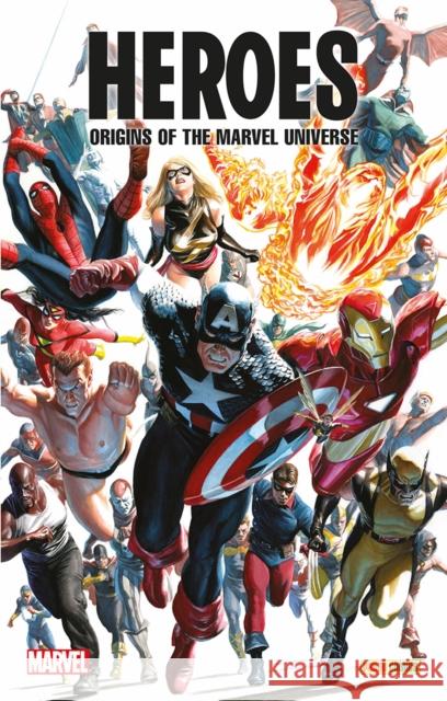 Heroes: Origins of the Marvel Universe Larry Lieber 9781804911372 Panini Publishing Ltd