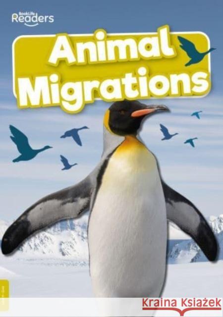 Animal Migrations Harriet Brundle 9781805050544 BookLife Publishing