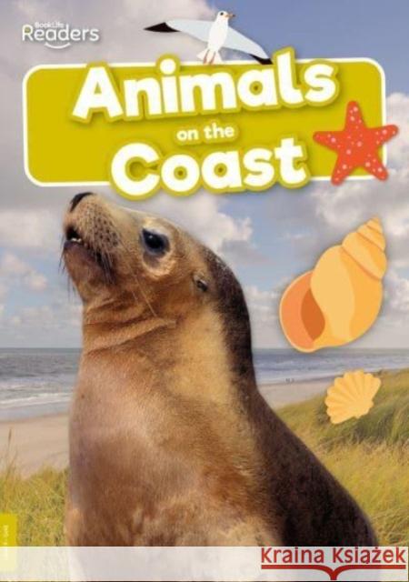 Animals on the Coast Robin Twiddy 9781805050599 BookLife Publishing