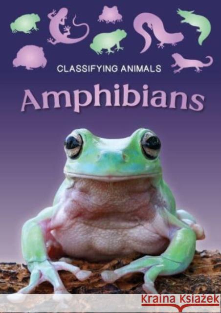 Amphibians Charlie Ogden 9781805053835 Booklife Publishing Ltd