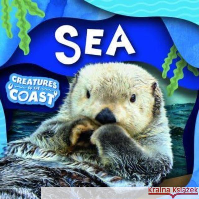 Sea Charis Mather 9781805053903 BookLife Publishing