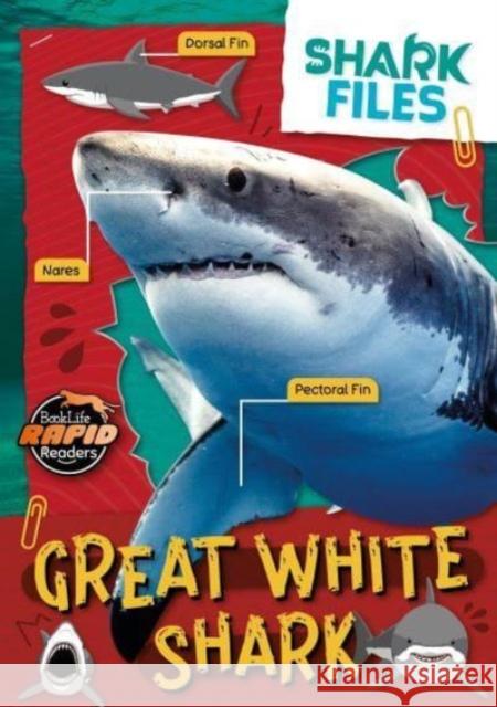 Great White Shark Robin Twiddy 9781805056843 BookLife Publishing