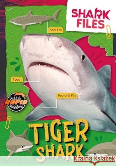 Tiger Shark Robin Twiddy 9781805056867 BookLife Publishing