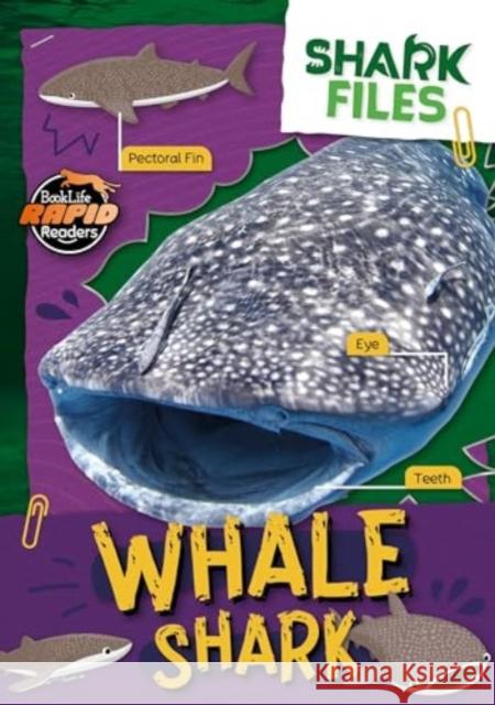 Whale Shark Robin Twiddy 9781805056874 BookLife Publishing