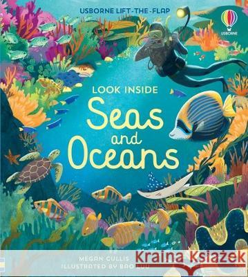 Look Inside Seas and Oceans Megan Cullis Bao Luu 9781805070368 Usborne Books