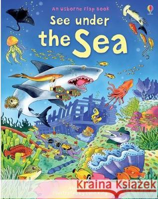 See Under the Sea Kate Davies Colin King 9781805070771