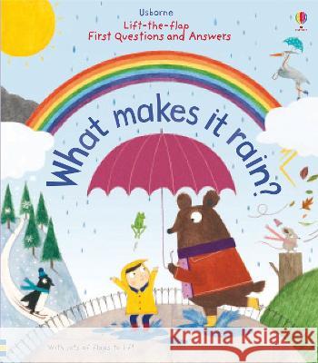 First Questions and Answers: What Makes It Rain? Katie Daynes Christine Pym 9781805071808 Usborne Books