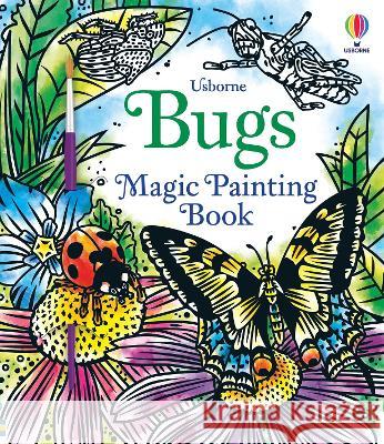 Bugs Magic Painting Book Abigail Wheatley Andy Tudor 9781805072065 Usborne Books