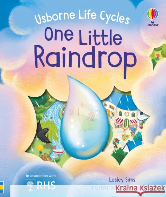 One Little Raindrop Lesley Sims 9781805072690