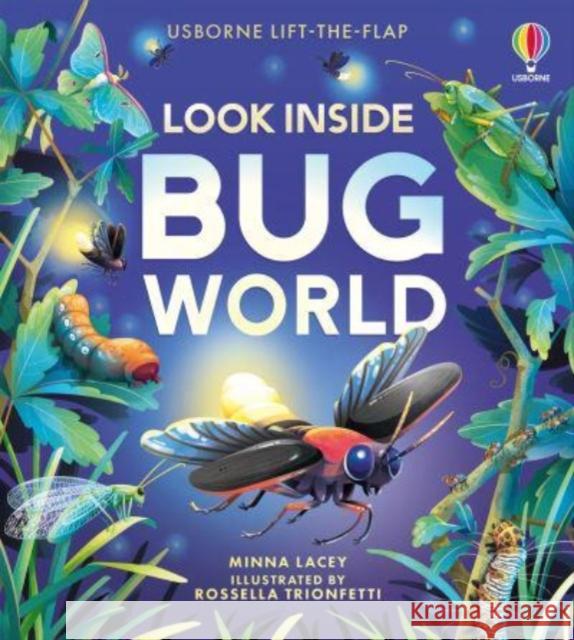 Look Inside Bug World Minna Lacey 9781805074076