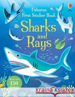 First Sticker Book Sharks and Rays Jane Bingham Amanda Shufflebotham 9781805074809