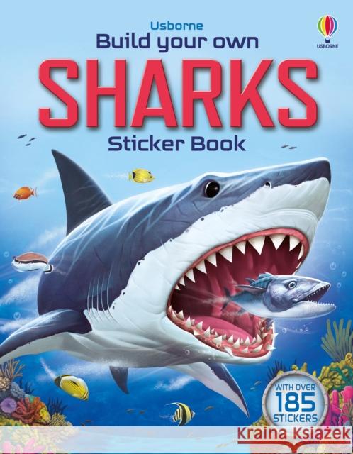 Build Your Own Sharks Sam Smith 9781805074908 Usborne Publishing Ltd