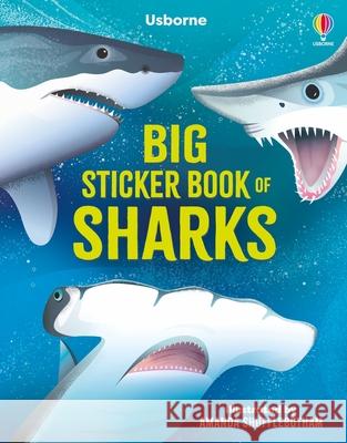 Big Sticker Book of Sharks Alice James Amanda Shufflebotham 9781805074922