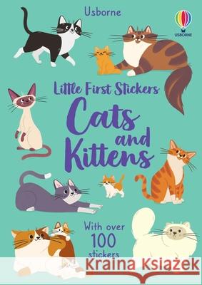 Little First Stickers Cats and Kittens Caroline Young Nicole Standard 9781805075462 Usborne Books