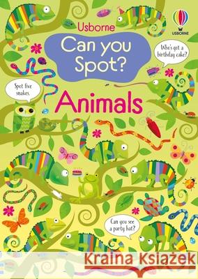 Can You Spot? Animals Kirsteen Robson Gareth Lucas 9781805078814