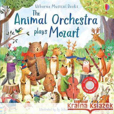 Animal Orchestra Plays Mozart Sam Taplin Ag Jatkowska 9781805079132