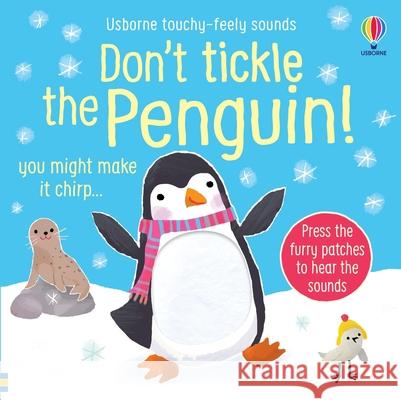 Don't Tickle the Penguin! Sam Taplin Ana Martin Larranaga 9781805079156