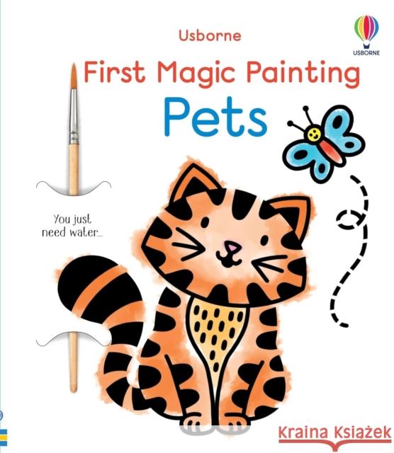 First Magic Painting Pets Abigail Wheatley 9781805079255