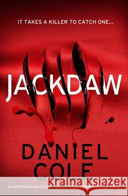 Jackdaw Daniel Cole 9781805082750 Storm Publishing