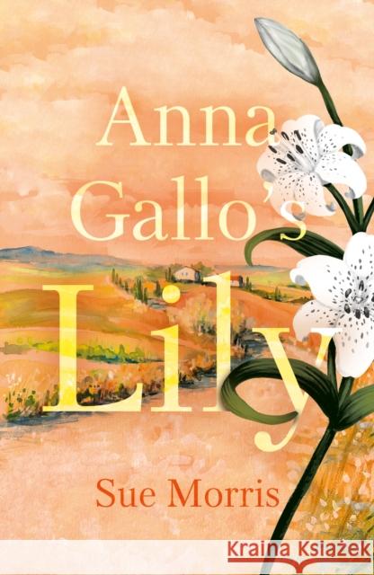 Anna Gallo’s Lily Sue Morris 9781805144700 Troubador Publishing