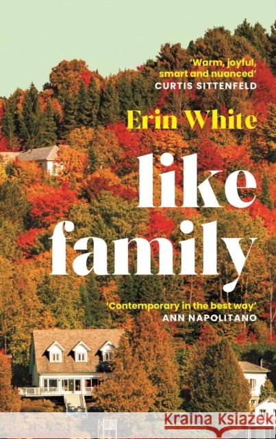 Like Family Erin White 9781805229155