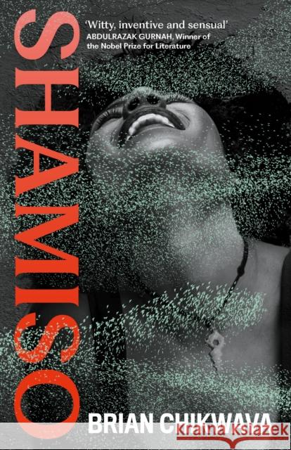 Shamiso Brian Chikwava 9781805301271 Canongate Books