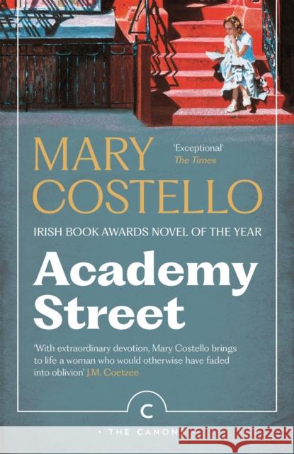 Academy Street Mary Costello 9781805302339