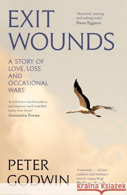 Exit Wounds: A Story of Love, Loss and Occasional Wars Peter Godwin 9781805303336