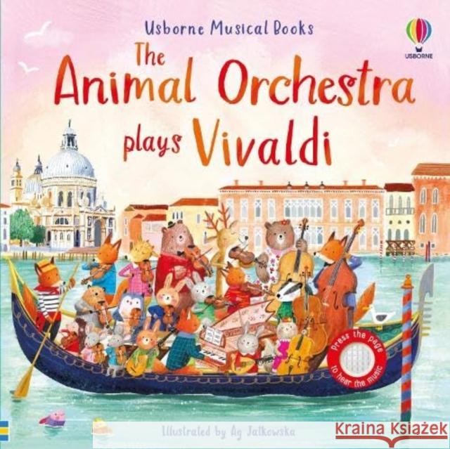 The Animal Orchestra Plays Vivaldi Sam Taplin 9781805312734