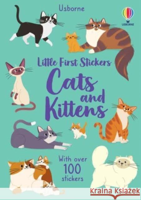 Little First Stickers Cats and Kittens Caroline Young 9781805314561