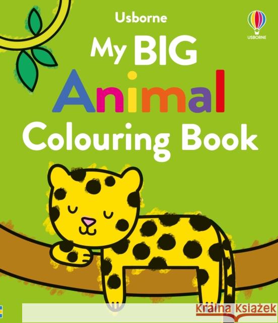 My Big Animal Colouring Book Kate Nolan 9781805315841