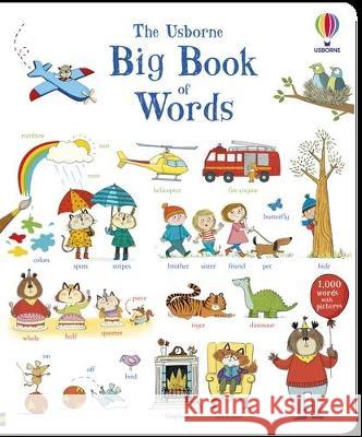 Big Book of Words Hannah Wood Mairi MacKinnon Kate Hindley 9781805317395 Usborne Books