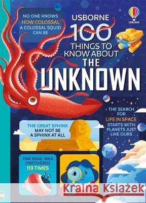 100 Things to Know about the Unknown Jerome Martin Alice James Lan Cook 9781805317869 Usborne Books