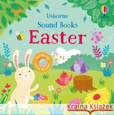Easter Sound Book: An Easter and Springtime Book for Kids Sam Taplin Jo Rooks 9781805317890 Usborne Books