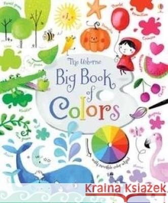 Big Book of Colors Felicity Brooks Sophia Touliatou 9781805318101 Usborne Books