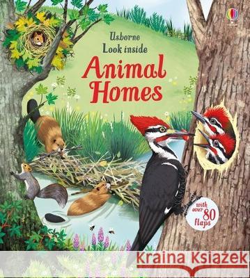 Look Inside Animal Homes Emily Bone Maribel Lechuga 9781805318538 Usborne Books
