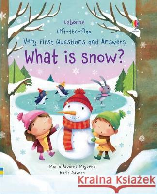 Very First Questions and Answers What Is Snow? Katie Daynes Marta Alvarez Miguens 9781805318644 Usborne Books