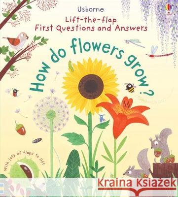 First Questions and Answers: How Do Flowers Grow? Katie Daynes Christine Pym 9781805319085 Usborne Books