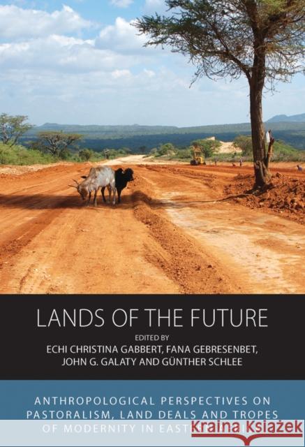 Lands of the Future  9781805391203 Berghahn Books