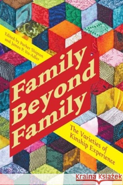 Family Beyond Family: The Varieties of Kinship Experience James P. Ito-Adler Parker Shipton 9781805397984