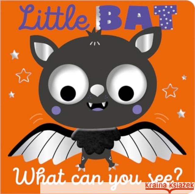 Little Bat What Can You See? Cara Jenkins 9781805442059 Make Believe Ideas