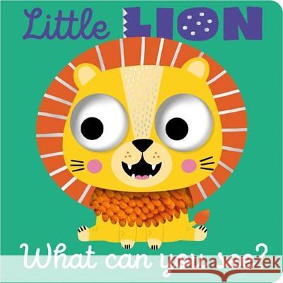 Little Lion What Can You See? Cara Jenkins Jess Moorhouse  9781805448099