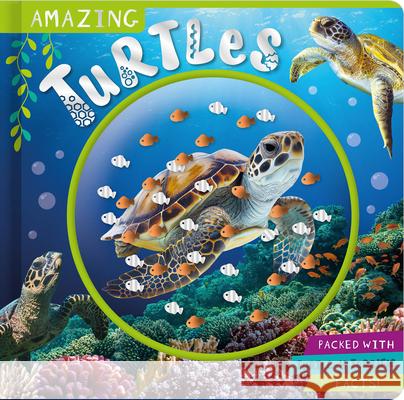 Amazing Turtles Naomi Churn Stuart Lynch 9781805448945