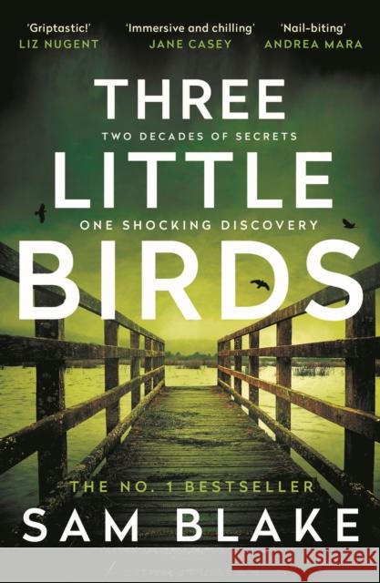 Three Little Birds Sam Blake 9781805460145 Atlantic Books