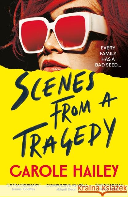 Scenes from a Tragedy: an addictive, gripping thriller from the bestselling author of The Silence Project Carole Hailey 9781805461562
