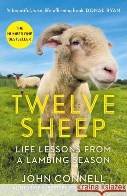 Twelve Sheep: Life lessons from a lambing season John Connell 9781805461920