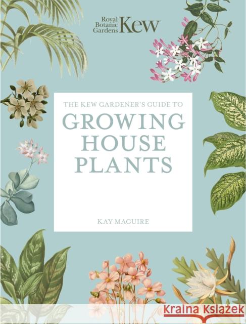 The Kew Gardener’s Guide to Growing House Plants: Paperback reissue Kay Maguire 9781805700326 Frances Lincoln
