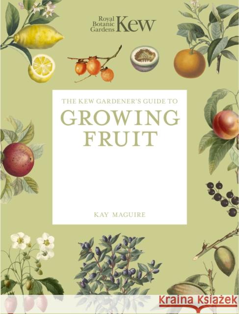 The Kew Gardener's Guide to Growing Fruit: Paperback reissue Kay Maguire 9781805700333 Frances Lincoln