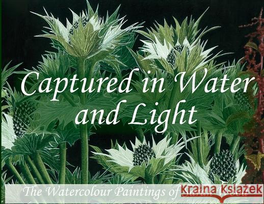Captured in Water and Light Sarah Wood 9781806057566